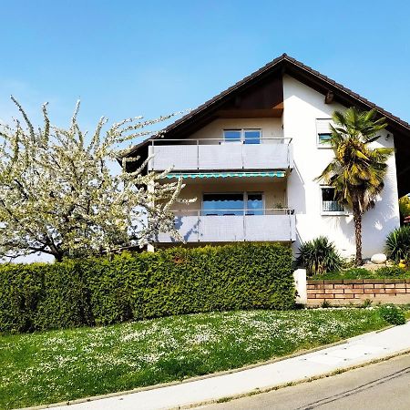 Haus Kramer Apartment Bad Bellingen Exterior photo